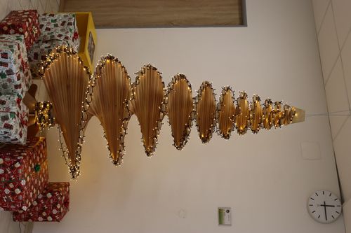 IMG_4494.JPG