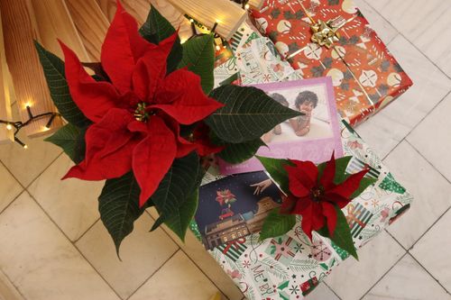 IMG_4870.JPG