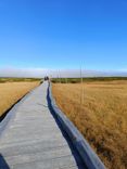 IMG-20241008-WA0009.jpg