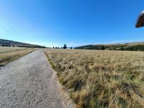 IMG-20241008-WA0011.jpg