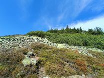 IMG-20241008-WA0014.jpg