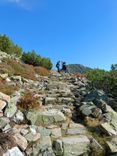 IMG-20241008-WA0018.jpg