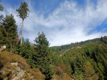 IMG-20241008-WA0022.jpg
