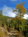 IMG-20241008-WA0023.jpg