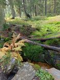 IMG-20241009-WA0013.jpg