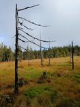 IMG-20241009-WA0015.jpg