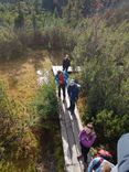 IMG-20241009-WA0017.jpg
