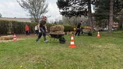 IMG_6553.jpg