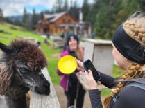 WhatsApp Image 2025-10-01 at 09.56.55.jpeg