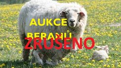 aukce_beranu_ZRUSENOO.jpg