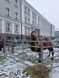 thumbnail_20241121_095211.jpg